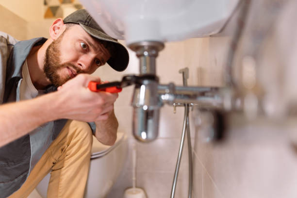Best Local Plumber Services  in Bargersville, IN