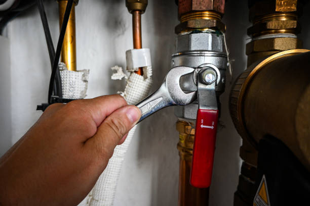 Best Commercial Plumbing Services  in Bargersville, IN